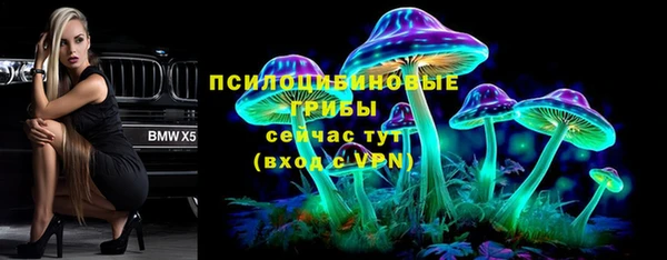 ПСИЛОЦИБИНОВЫЕ ГРИБЫ Абинск